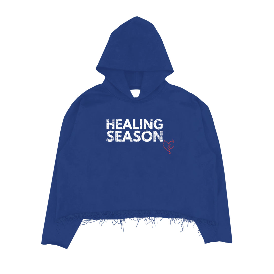 Healing Season Hoodie