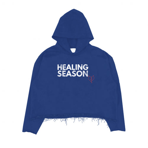 Healing Season Hoodie